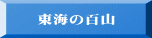 東海の百山