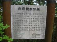 OXV@Rώ@̐X.jpg