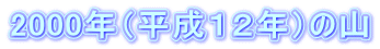 2000NiPQNj̎R